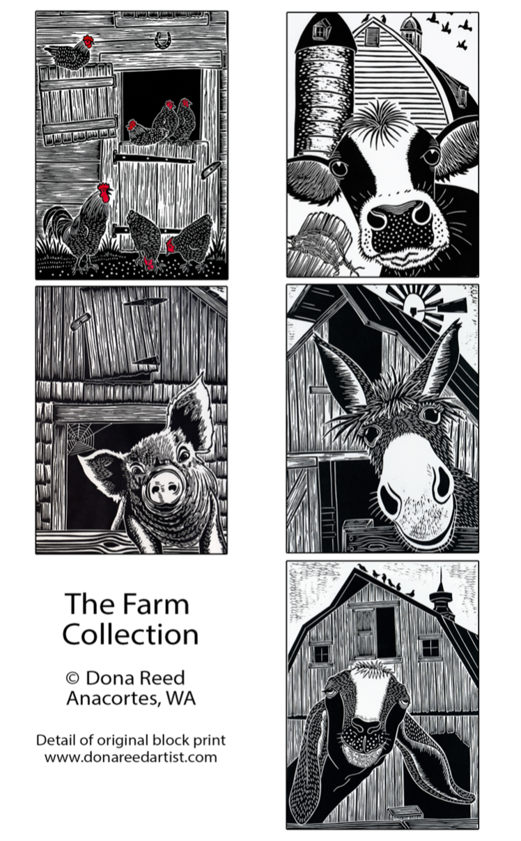 CARD PACKS OF 5
