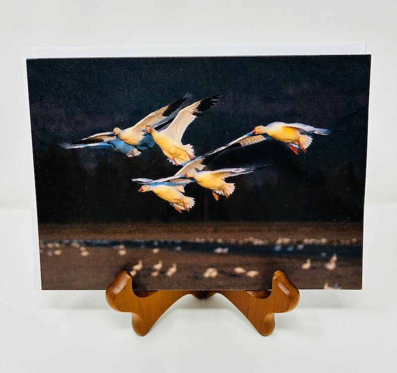 GREETING CARD GARY BROWN