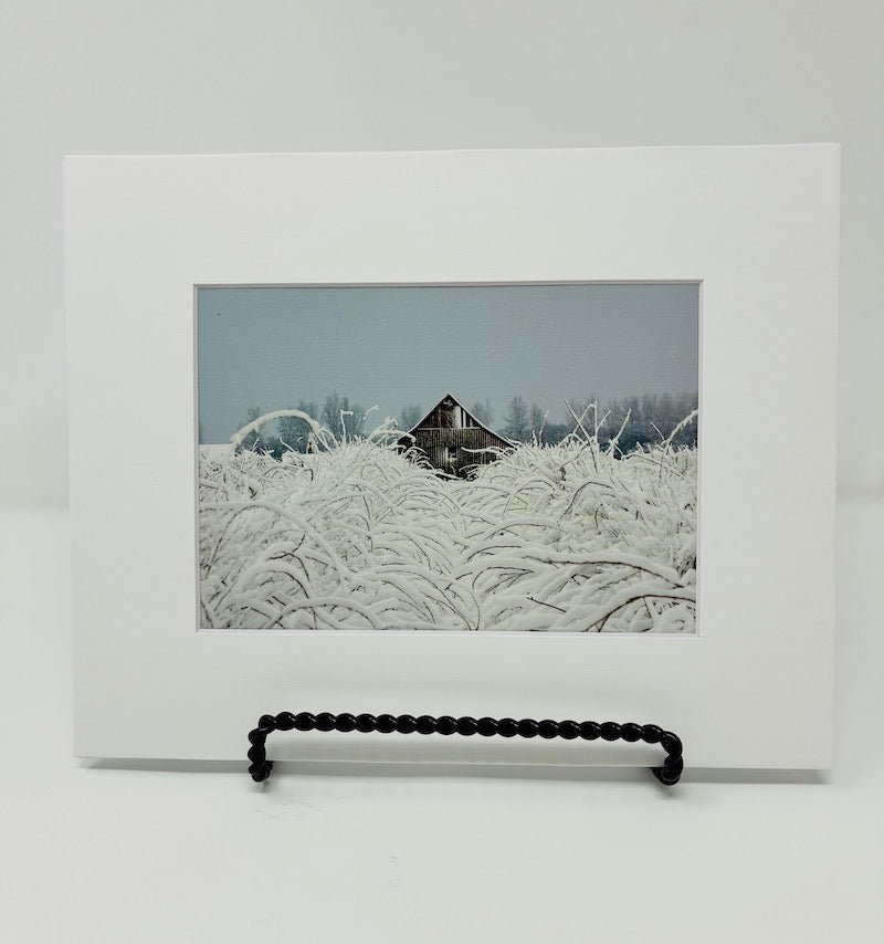 PHOTOGRAPH WINTER RASPBERRIES with mat