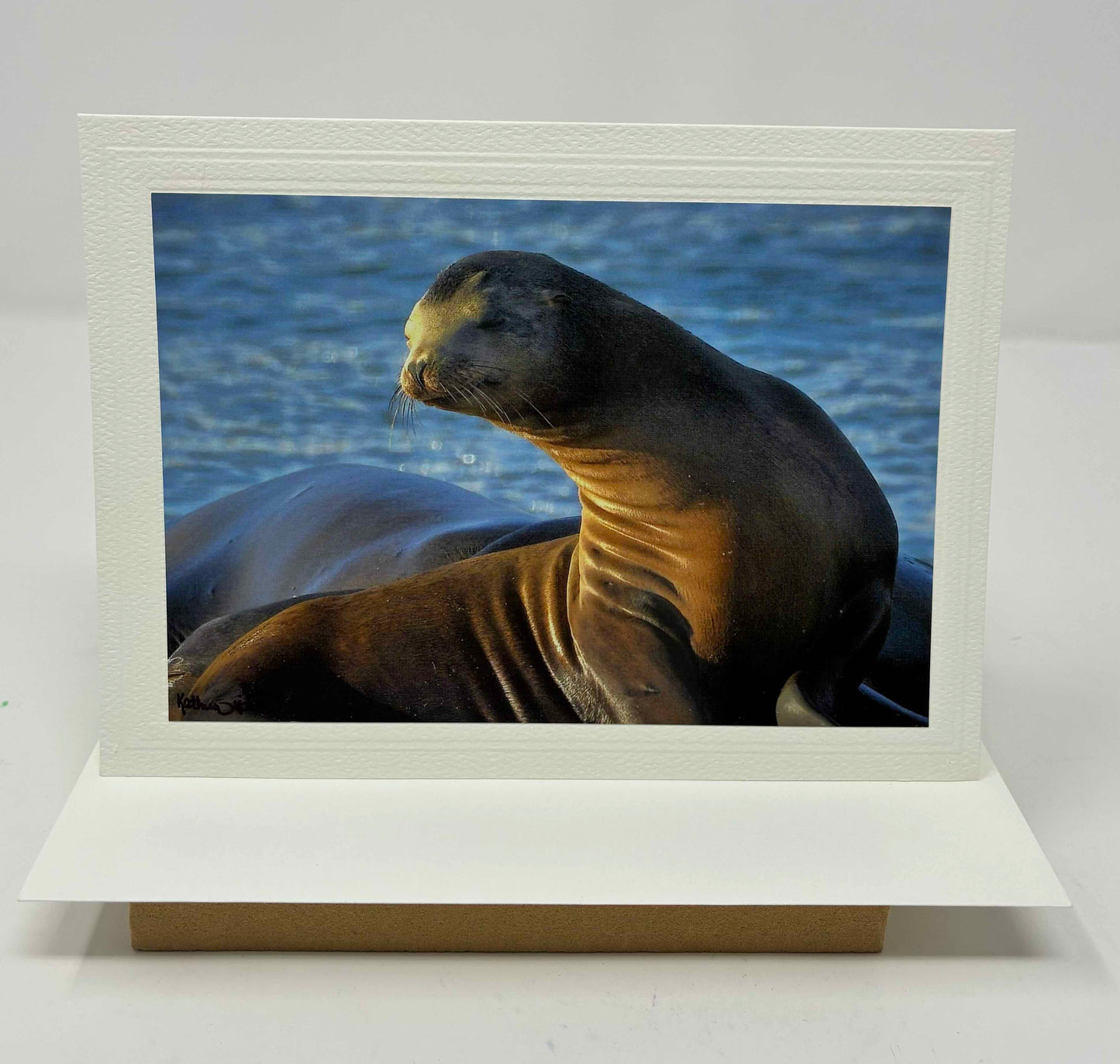 GREETING CARD