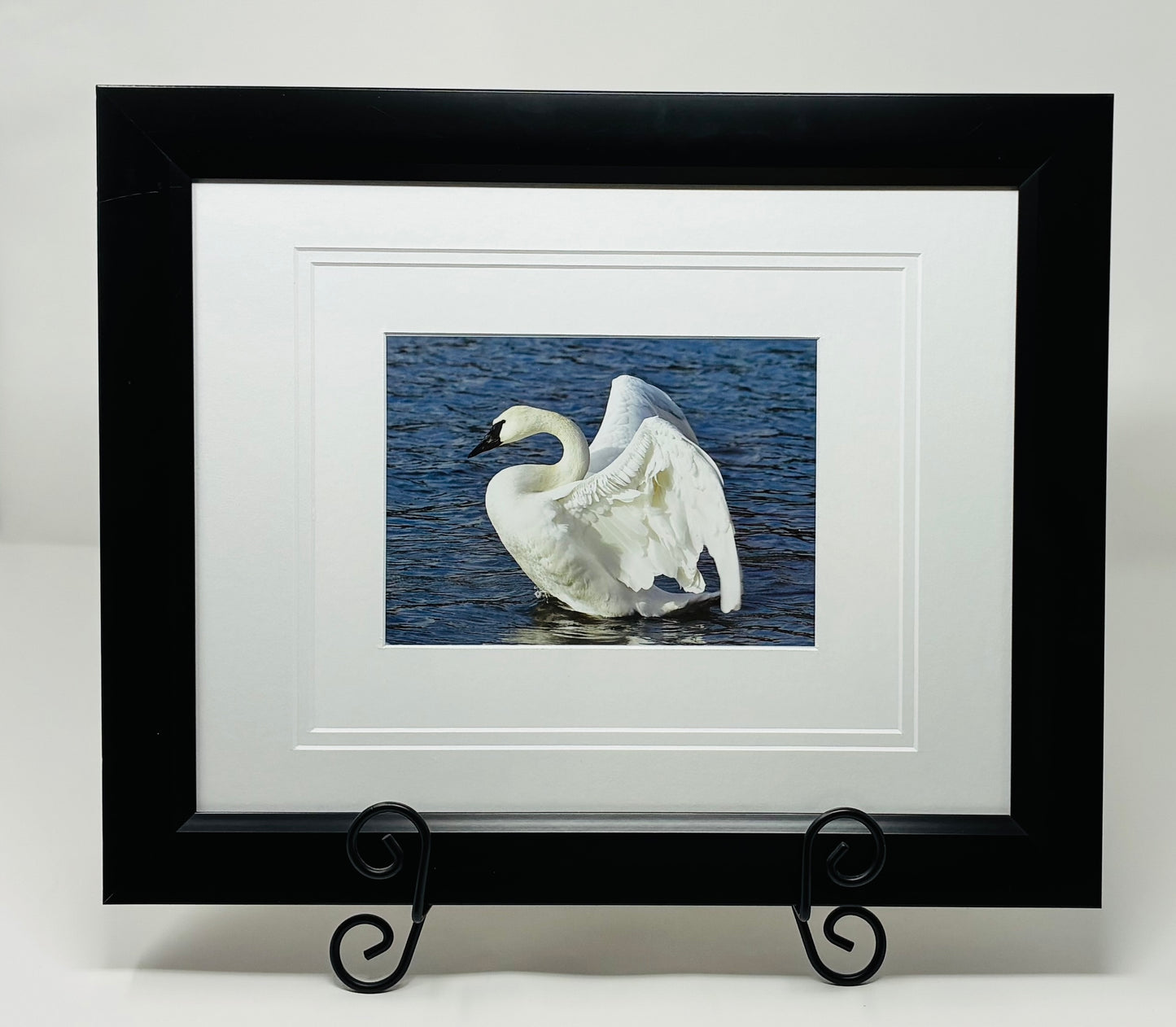 Photo printed Luster matted