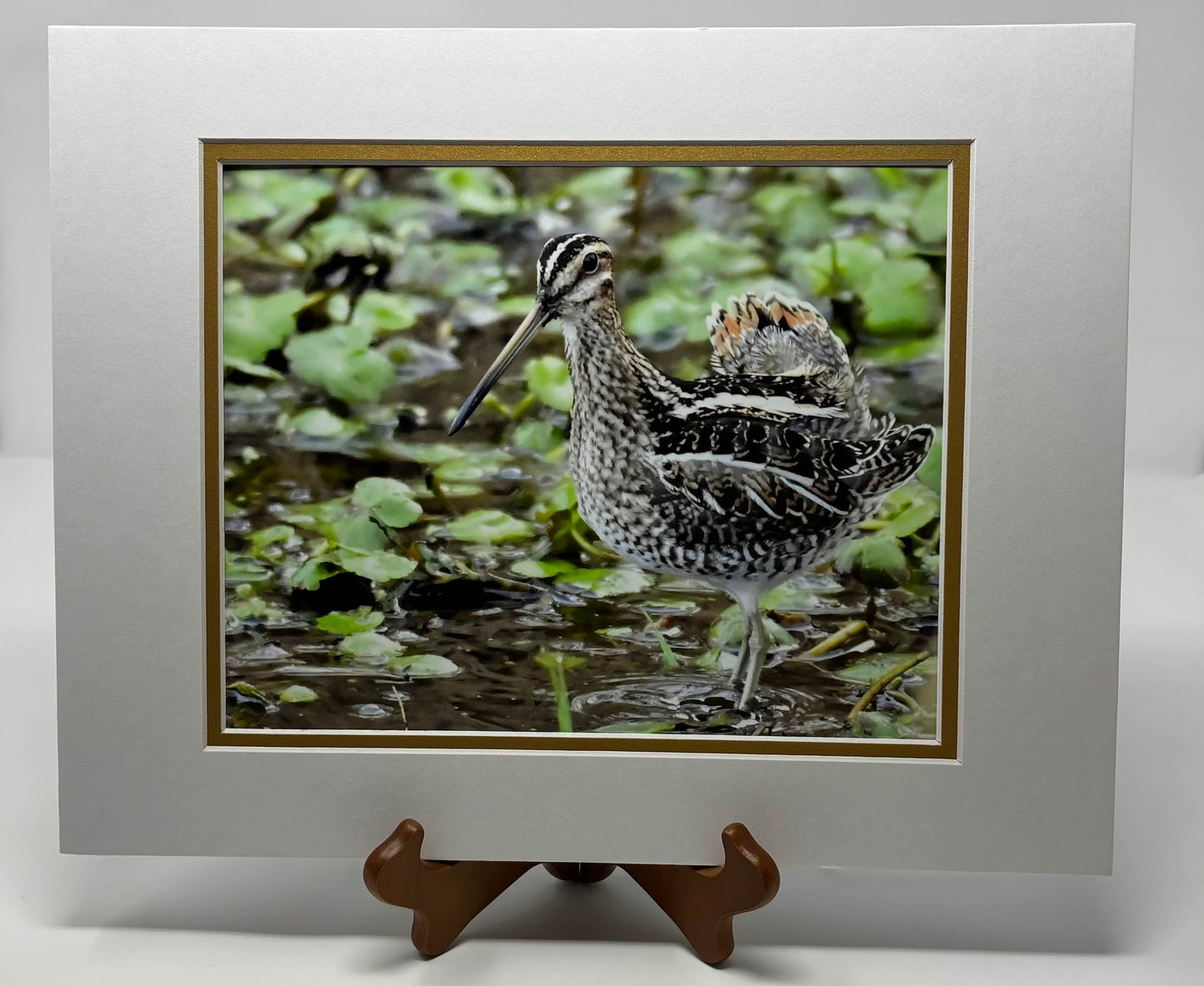 Photo printed Luster matted
