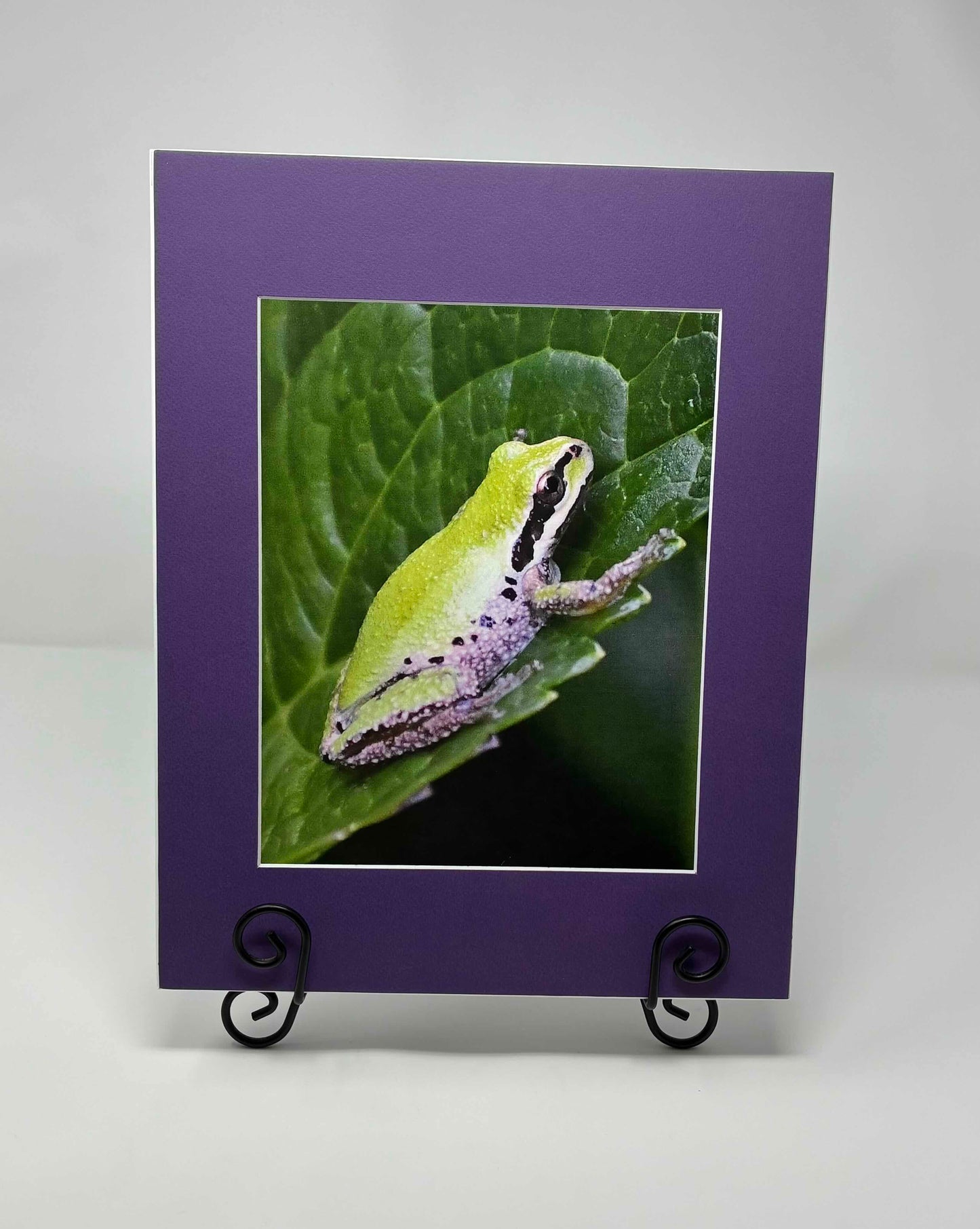 Photo printed Luster matted