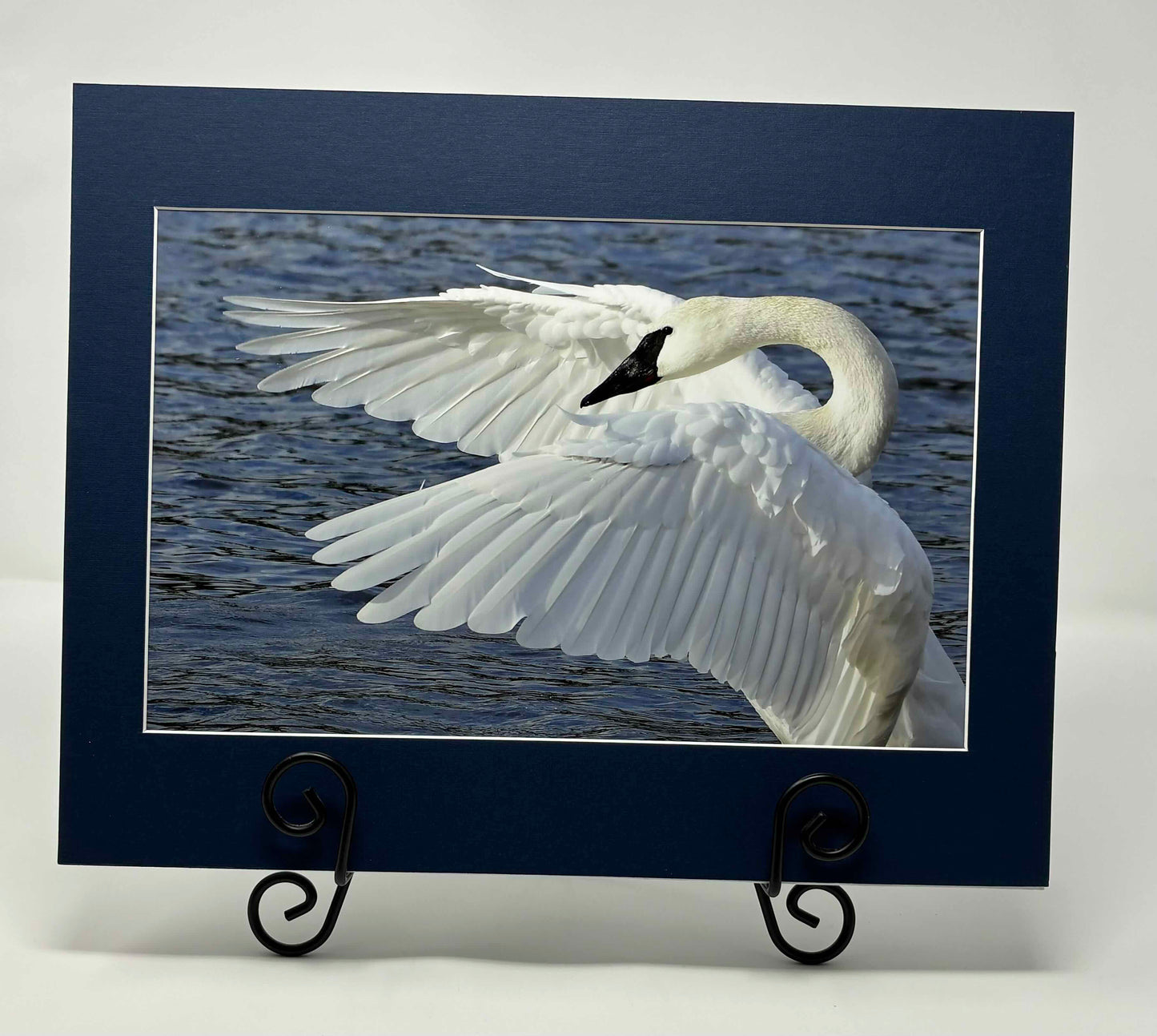 Photo printed Luster matted