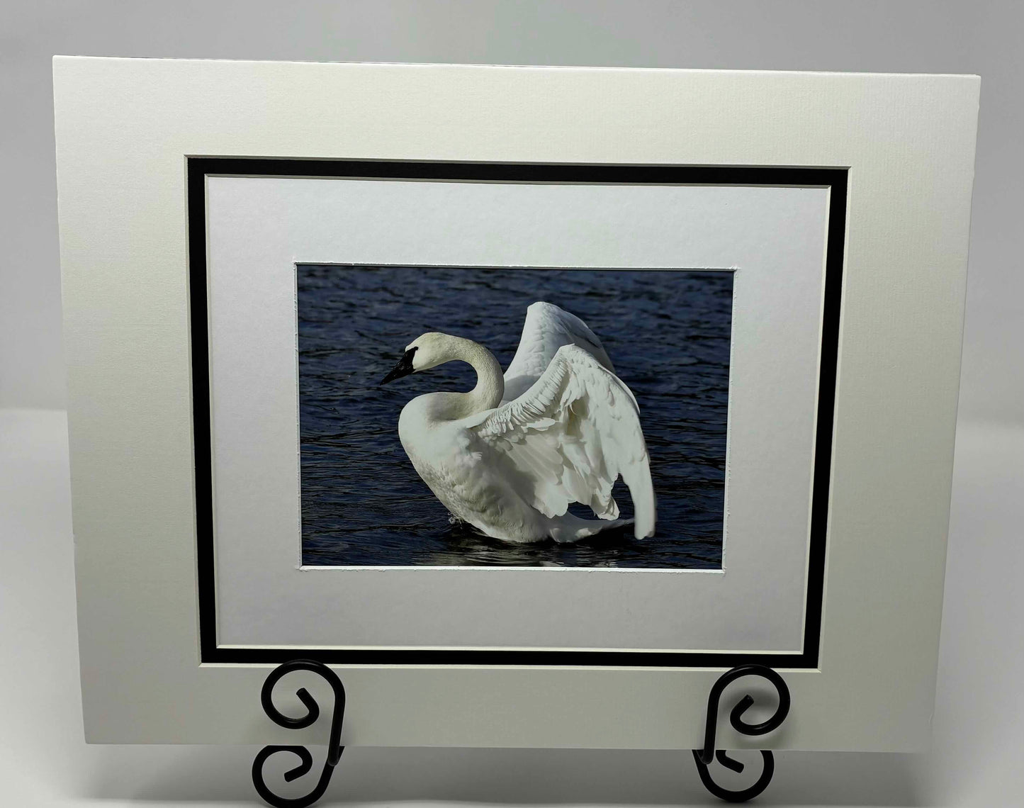 Photo printed Luster matted