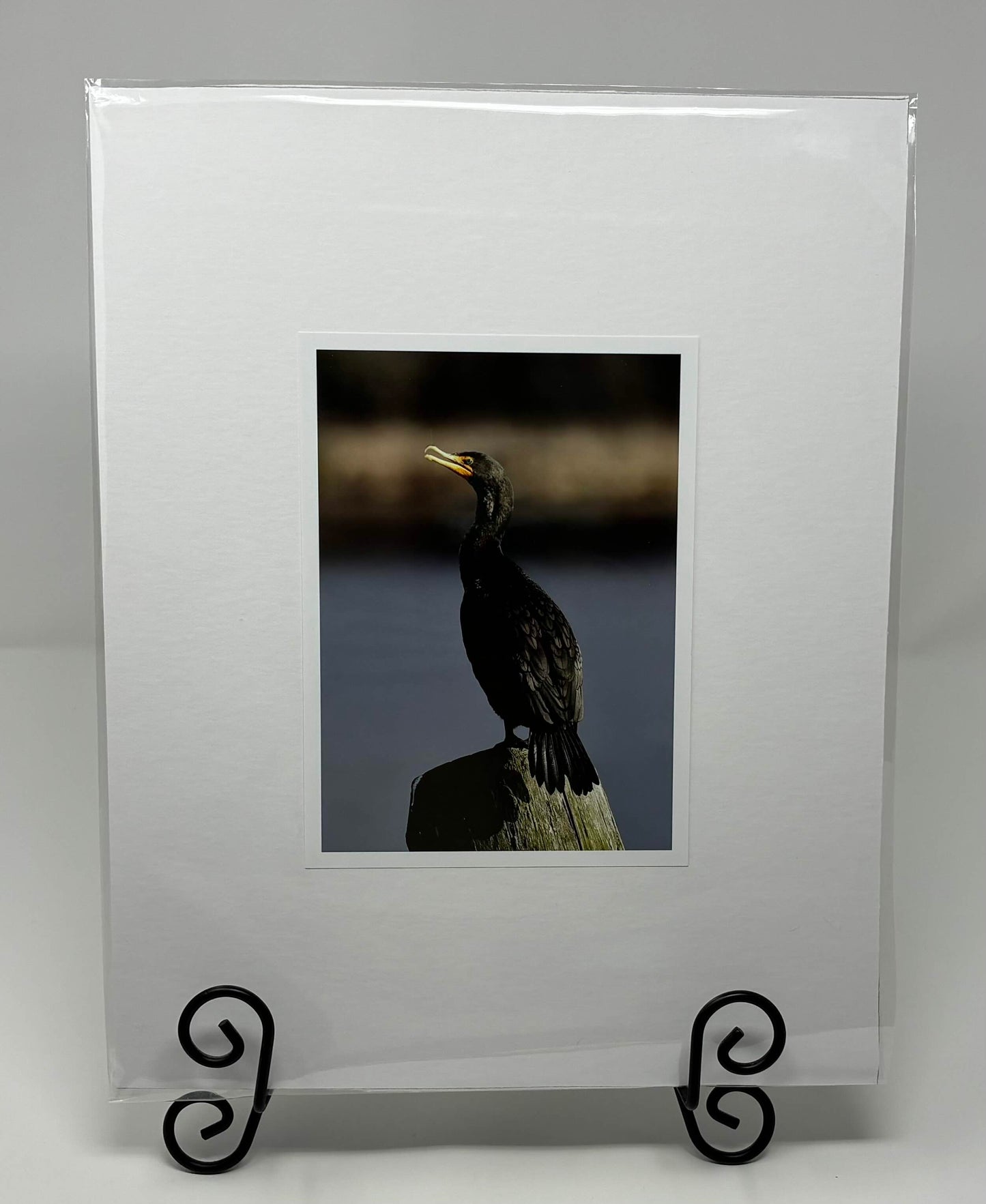 Photo printed Luster matted