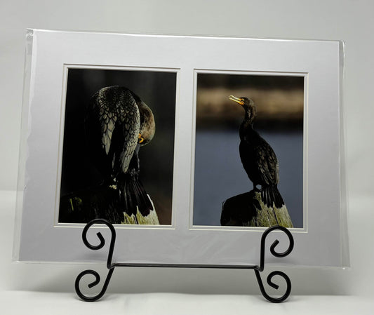 Photo printed Luster matted