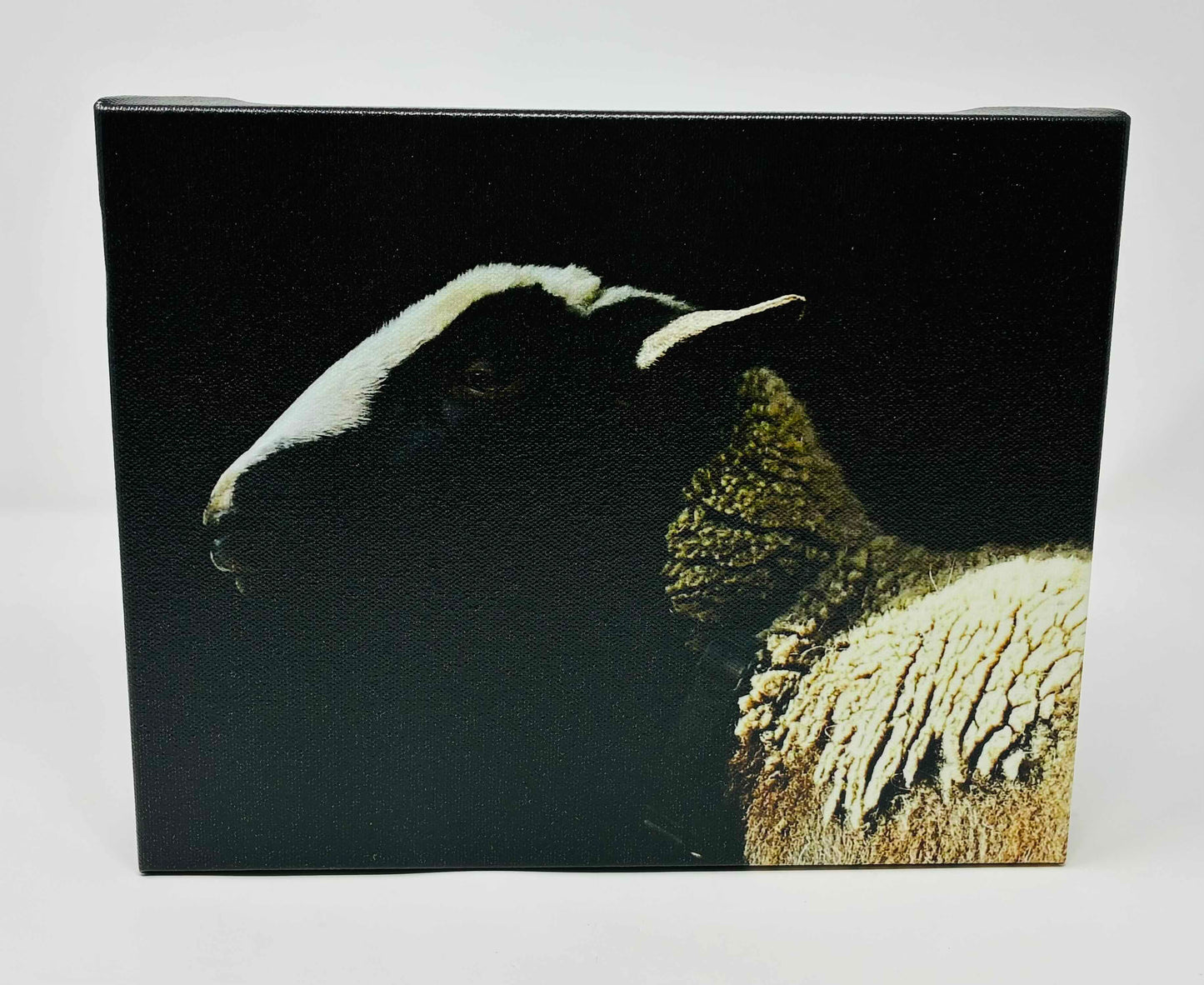 Photo printed on Canvas