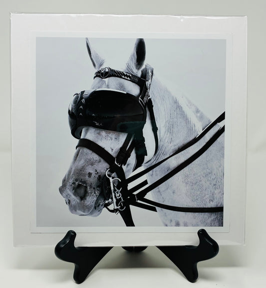 Photo printed Luster matted