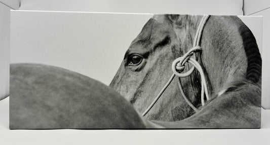 Photo printed on Canvas