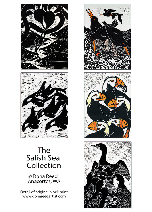 CARD PACKS OF 5
