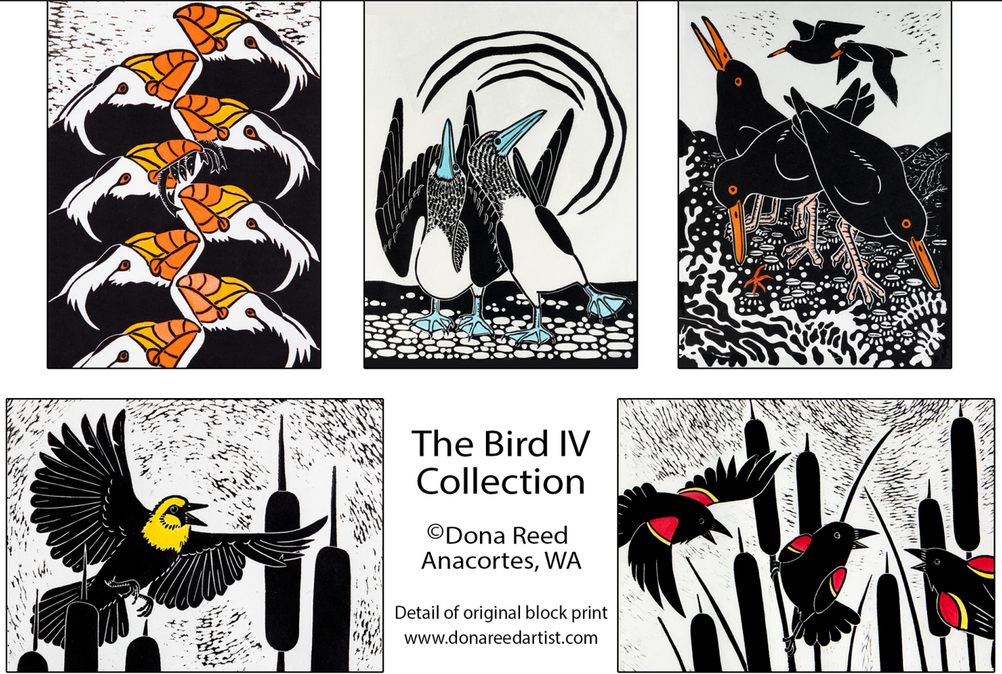CARD PACKS OF 5
