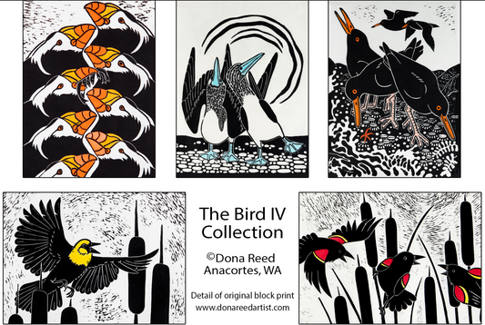 CARD PACKS OF 5