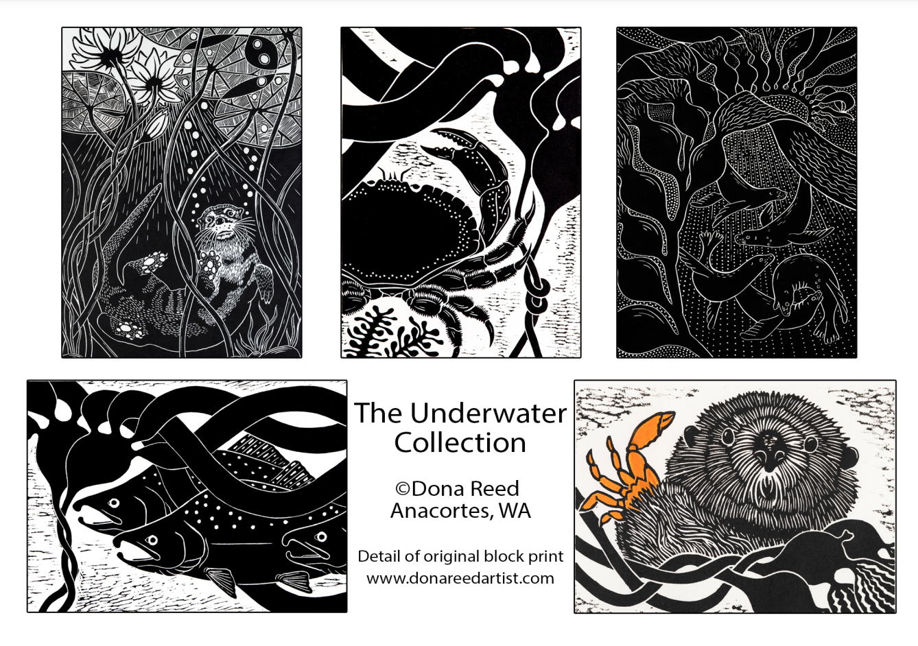 CARD PACKS OF 5