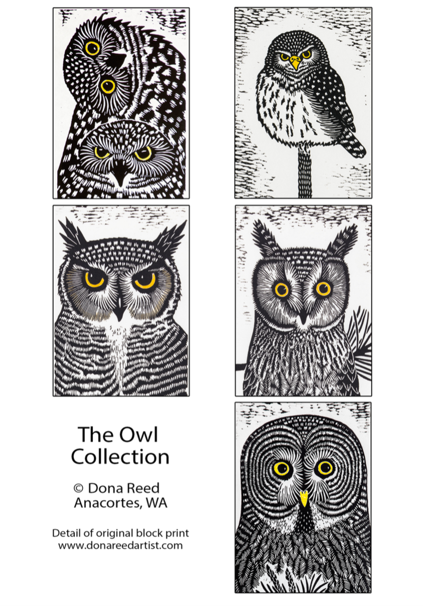 CARD PACKS OF 5