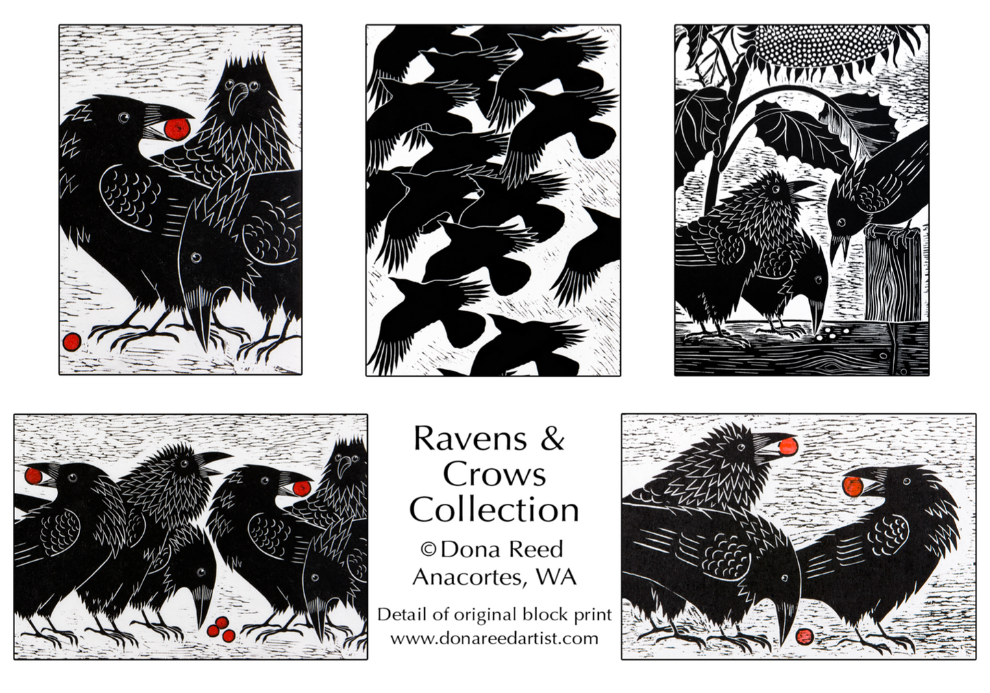 CARD PACKS OF 5