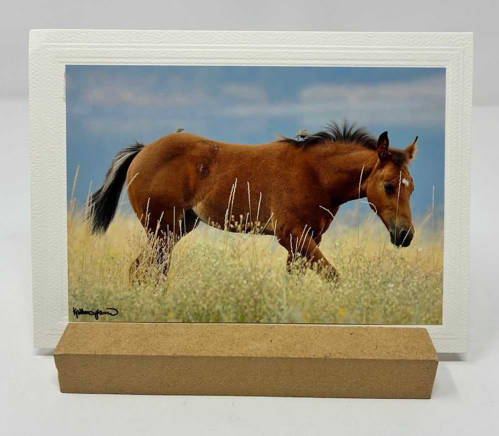 GREETING CARD