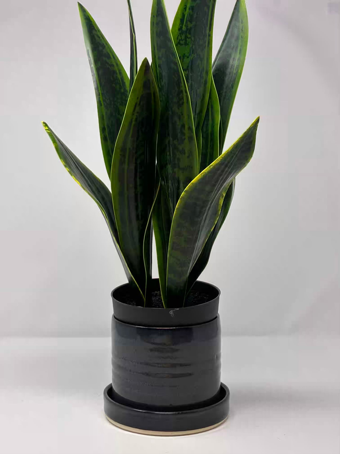 PLANTER