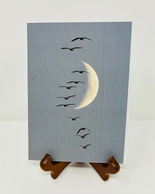 PHOTOGRAPH LUNAR MIGRATION 18X12