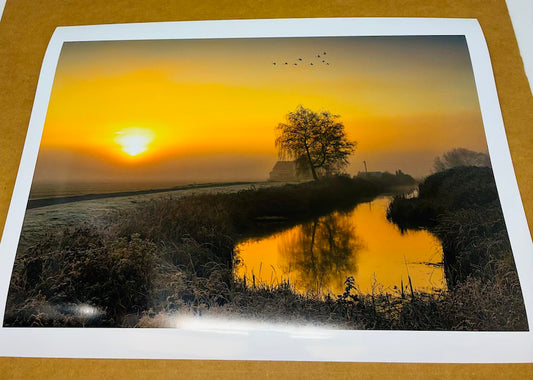 PHOTOGRAPH SUNRISE-SWANS 18X12
