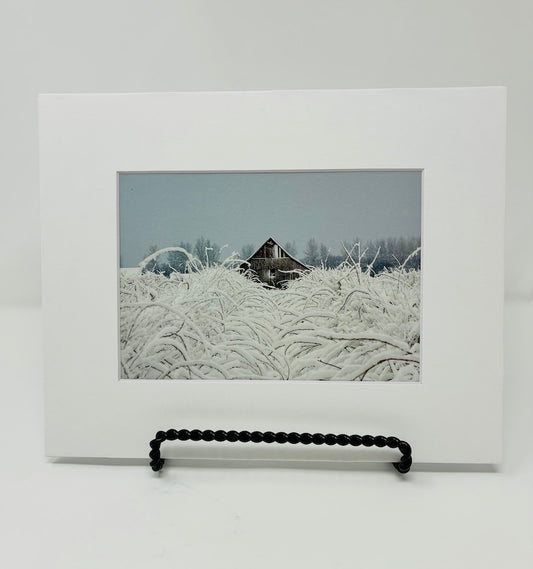 PHOTOGRAPH WINTER RASPBERRIES with mat