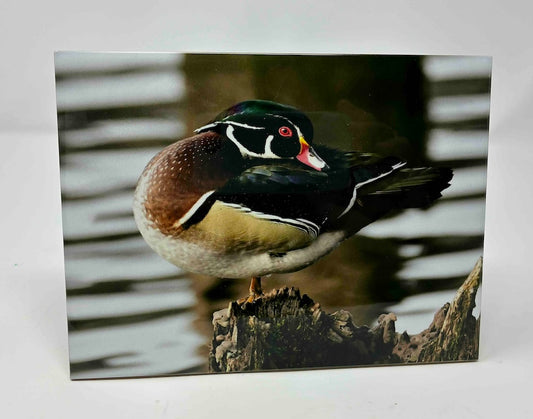 PHOTO TILE