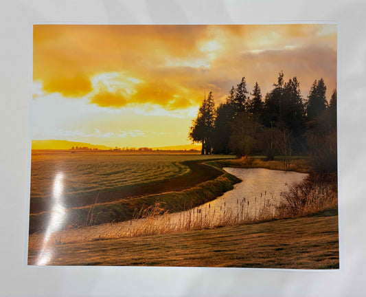 PHOTOGRAPH 11X14
